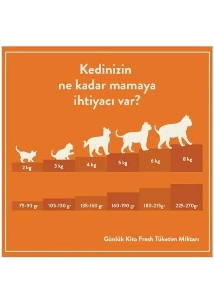 Fresh Kuzu Etli Hipoalerjenik Taze Kedi Yemeği 85 gr