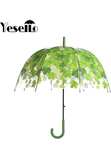 Yeşil Yaprak Şeffaf Umbrla Kırmızı (Yurt Dışından) fırsatları