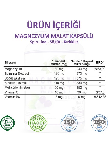Magnezyum Malat Kapsül (Magnesium Malate Capsule)