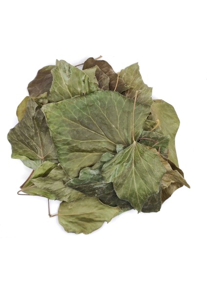 Sarmaşık Yaprağı Hedera Semen 100 gr fiyatları
