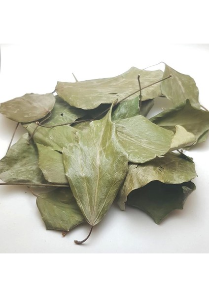 Sarmaşık Yaprağı Hedera Semen 100 gr fırsatları