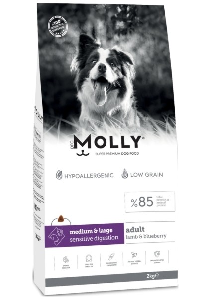 Medium Adult Kuzu Etli & Yaban Mersinli Orta ve Büyük Irk Yetişkin Köpek Maması 2 kg