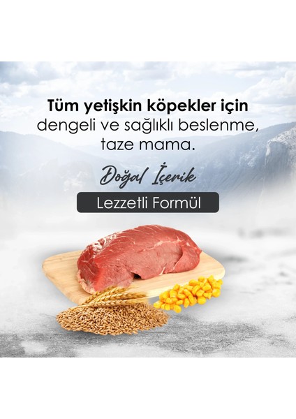 Gofrette Biftekli Yetişkin Köpek Maması 15 kg fiyatları