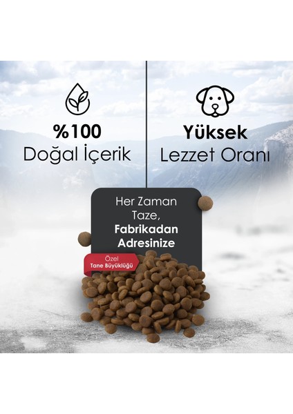 Gofrette Biftekli Yetişkin Köpek Maması 15 kg modelleri
