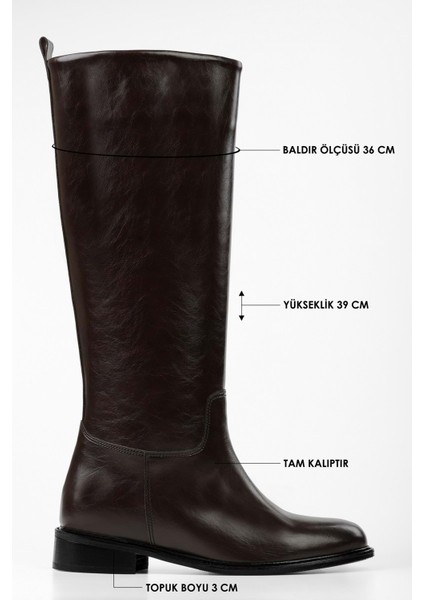 Kadın Lace Kahve Cilt Binici Çizme fırsatları