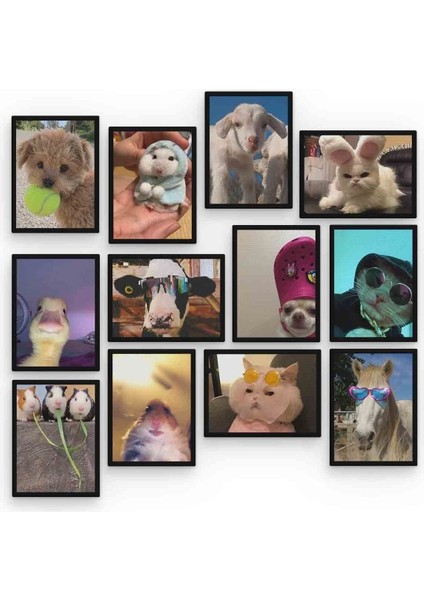 Funny Animal 12 Parça Mdf (Ahşap) Tablo Ofis Boyu