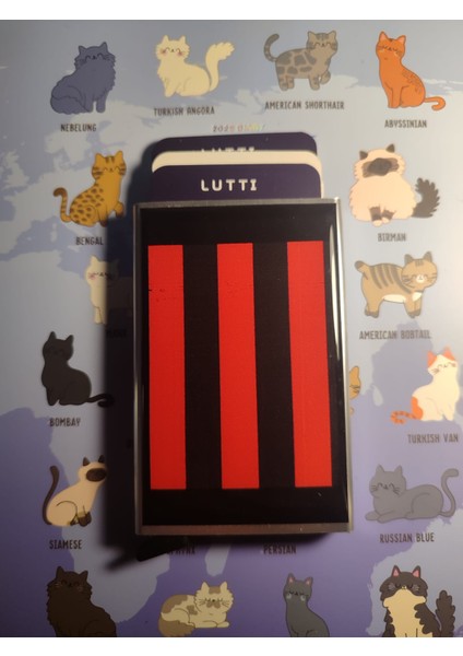 Plastolu Metal Mekanizmalı Kartlık