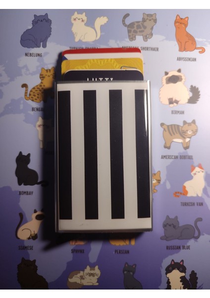 Plastolu Metal Mekanizmalı Kartlık