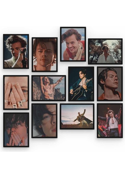 Harry Styles 12 Parça Ahşap Mdf Tablo ZLLTB222