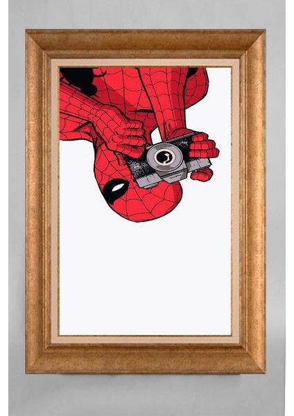 Altın Çerçeveli Paspartulu Tablo CV615