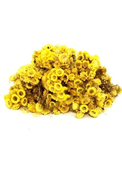 Altın Otu 500 gr fiyatları