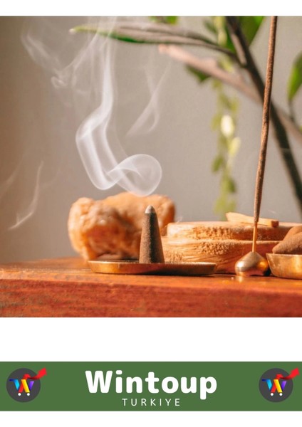 Arındırıcı Iyileştirici Ev Ofis Meditasyon Yoga Chakra Pozitif Enerji 120 Konik Tütsü fiyatları