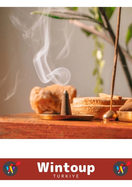 Arındırıcı Iyileştirici Ev Ofis Meditasyon Yoga Chakra Pozitif Enerji 120 Konik Tütsü fiyatları