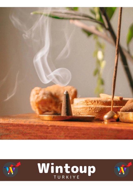 Arındırıcı Iyileştirici Ev Ofis Meditasyon Yoga Chakra Pozitif Enerji 120 Konik Tütsü fiyatları