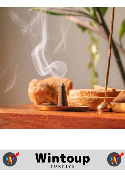 Arındırıcı Iyileştirici Ev Ofis Meditasyon Yoga Chakra Pozitif Enerji 120 Konik Tütsü fiyatları