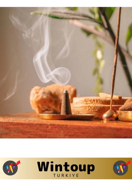 Arındırıcı Iyileştirici Ev Ofis Meditasyon Yoga Chakra Pozitif Enerji 120 Konik Tütsü fiyatları