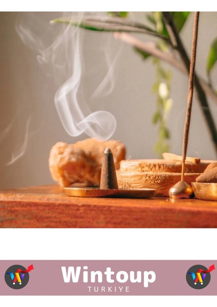 Arındırıcı Iyileştirici Ev Ofis Meditasyon Yoga Chakra Pozitif Enerji 120 Konik Tütsü fiyatları