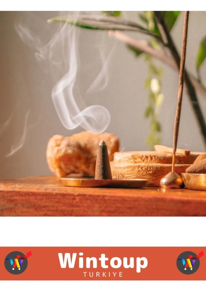 Arındırıcı Iyileştirici Ev Ofis Meditasyon Yoga Chakra Pozitif Enerji 120 Konik Tütsü fiyatları