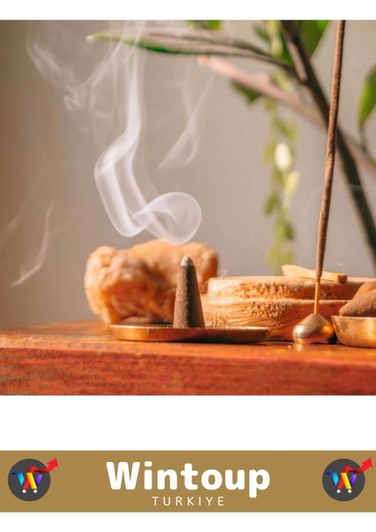 Arındırıcı Iyileştirici Ev Ofis Meditasyon Yoga Chakra Pozitif Enerji 120 Konik Tütsü fiyatları
