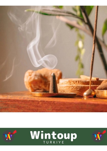 Arındırıcı Iyileştirici Ev Ofis Meditasyon Yoga Chakra Pozitif Enerji 120 Konik Tütsü fiyatları