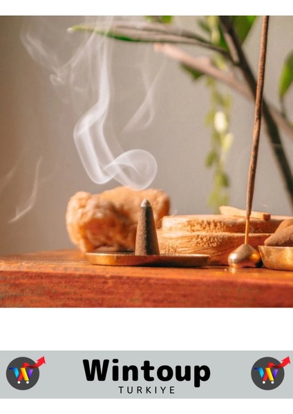 Arındırıcı Iyileştirici Ev Ofis Meditasyon Yoga Chakra Pozitif Enerji 120 Konik Tütsü fiyatları