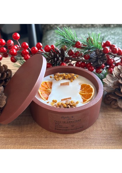 Fall In Chestnut, Tarçın ve Portakallı Mum, Soy Wa x , Beton Saksılı Dekoratif Mum, Vanilyalı Mum