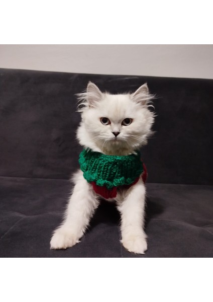 Kedi Köpek Için Noel Babalı Yılbaşı Kazağı