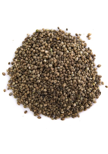 Kendir Tohumu Çedene 500 gr fiyatları