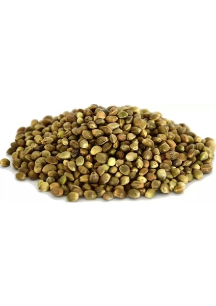 Kendir Tohumu Çedene 500 gr modelleri