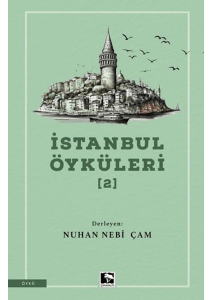 İstanbul Öyküleri 2 - Nuhan Nebi Çam