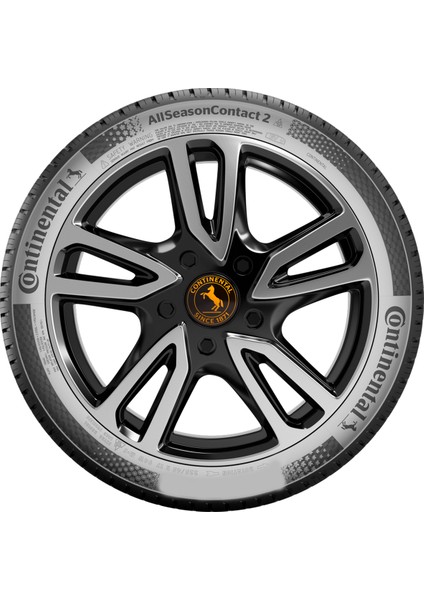 225/55 R18 98V Allseasoncontact 2 4 Mevsim Oto Lastiği (Üretim Yılı : 2024) modelleri
