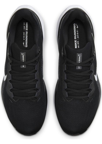 Air Zoom Pegasus 41 Erkek Koşu Ayakkabısı