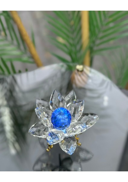 Elara Dekoratif Ayaklı Lotus