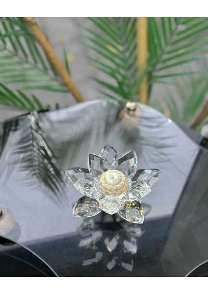 Elara Dekoratif Ayaklı Lotus
