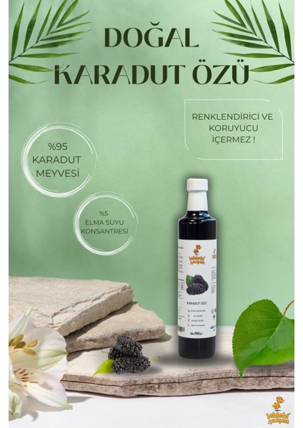 Doğal Karadut Özü 700 gr fiyatları