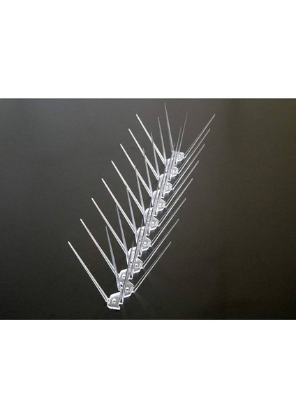 Kuşkonmaz Plastik Şeffaf 50 cm