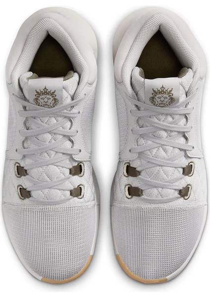 Lebron Witness Vııı 003 Renk 003 indirimleri