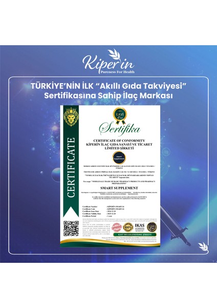 Mind Focus Aslan Yelesi Mantarı, Sitikolin, Rhodiola, L-Theanin .. (1440MG) | Akıllı Gıda Takviyesi