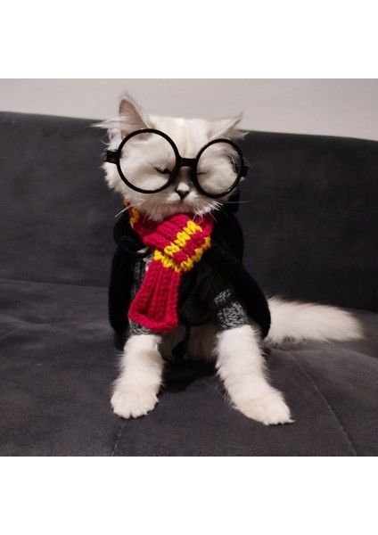 Kedi Köpek için Harry Potter Kostümü (Cüppe, Kazak, Kaşkol, Gözlük Takım)