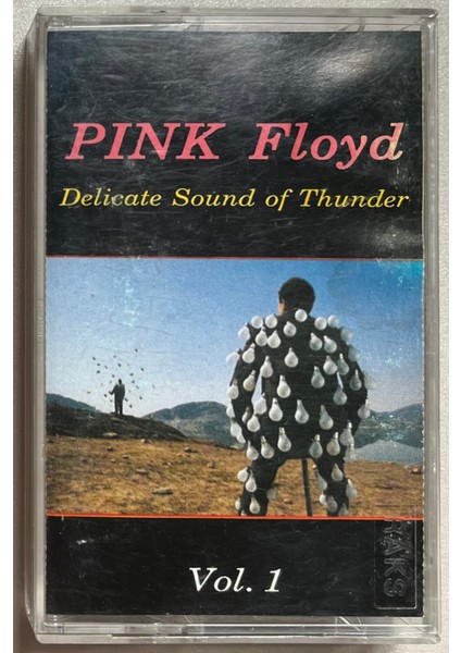 Pink Floyd - Delicate Sound ıf Thunder Vol. 1 Kaset