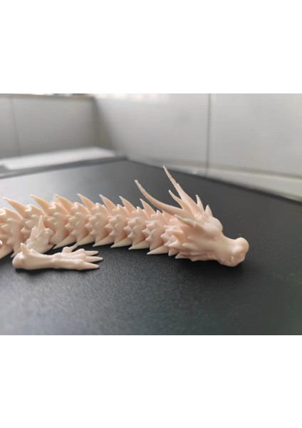 3D Dragon Modeli