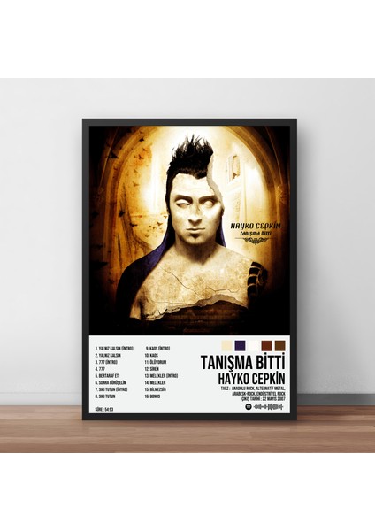 Hayko Cepkin - Tanışma Bitti Albüm Spotify Çerçeveli Poster Tablo