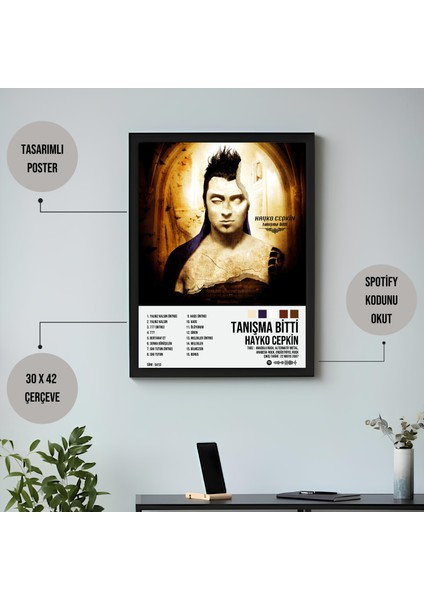 Hayko Cepkin - Tanışma Bitti Albüm Spotify Çerçeveli Poster Tablo