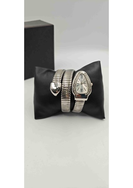 Yılan Model Bayan Saat fiyatları