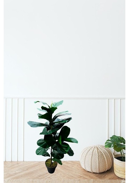 Yapay Ağaç Kauçuk 100 cm