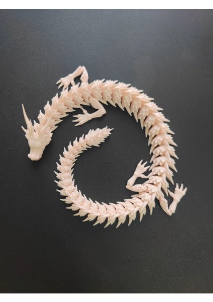 3D Dragon Modeli
