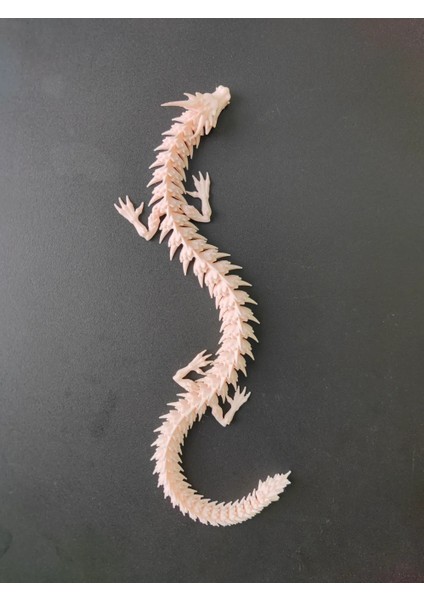 3D Dragon Modeli