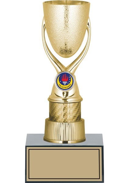 Kişiye Özel Başarı Kupası-Futbol Kupası-Tören Kupası-Okul Kupası-Birincilik Kupası-Şampiyonluk Kupası-Turnuva Kupası 24 cm GN146-C-24CM