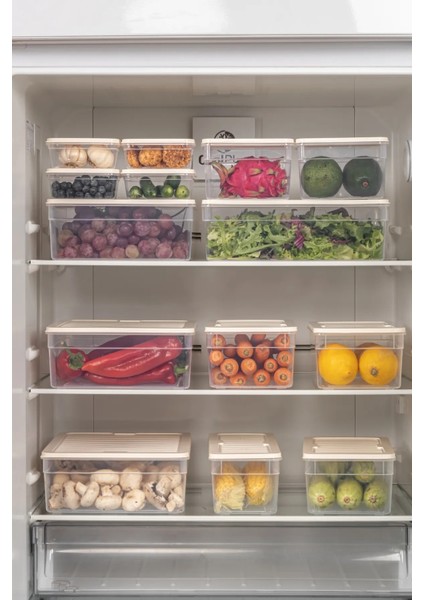 24 Parça Set Derin Freshbox Mikrodalga ve Difrize Uygun Saklama Kabı Krem