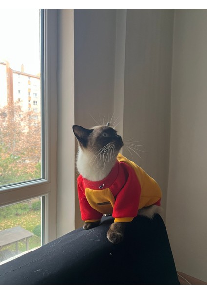 Sarı Kırmızı Parçalı Köpek Sweatshirt